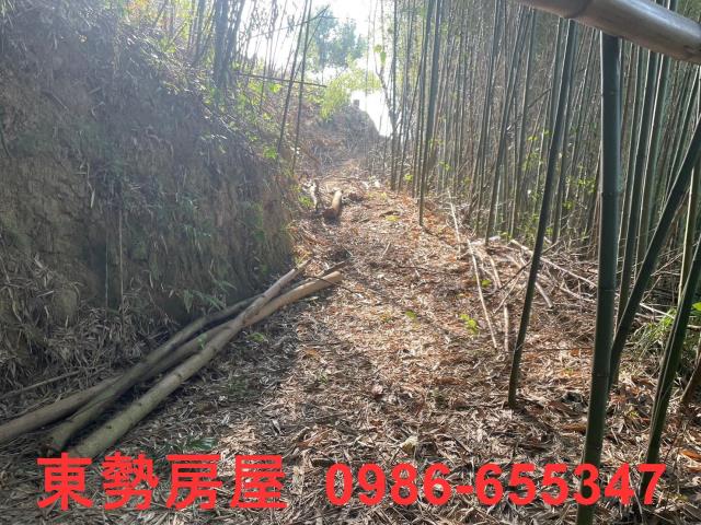 台中東勢農地-5