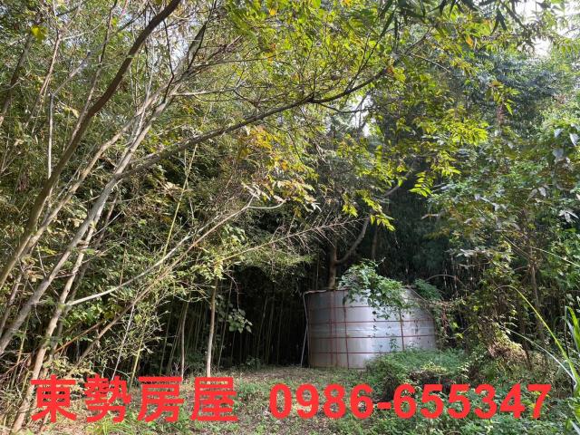 台中東勢農地-7