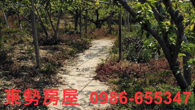 台中東勢農地-9