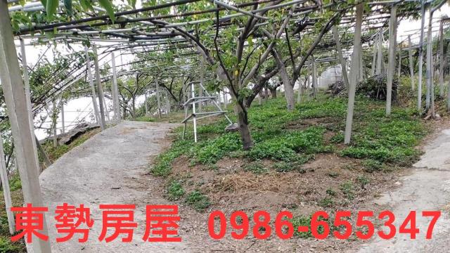 台中東勢農地-0