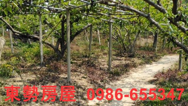 台中東勢農地-1