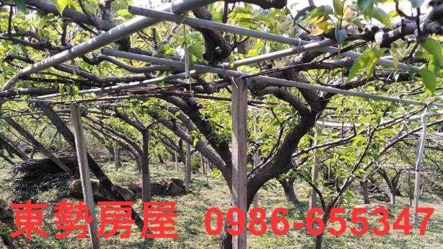 台中東勢農地-2