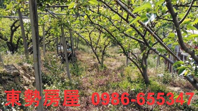 台中東勢農地-6