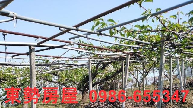 台中東勢農地-7