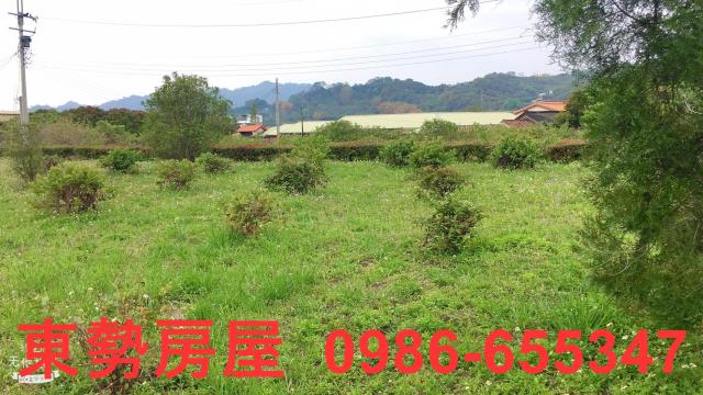 東勢農地-8