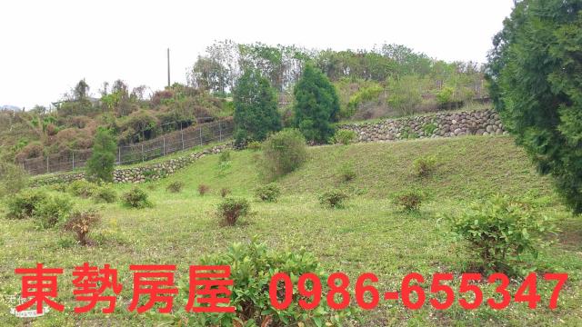 東勢農地-11