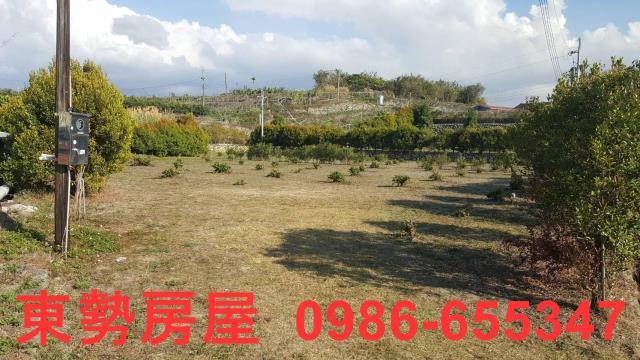 東勢農地-1