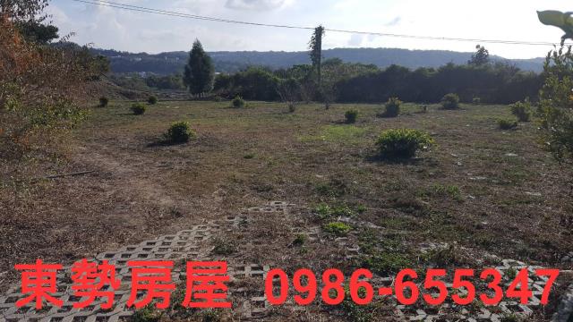 東勢農地-2