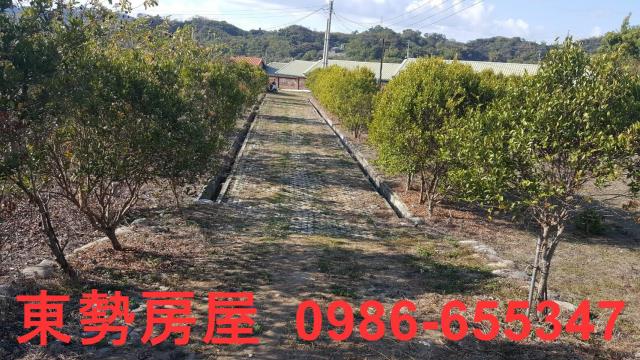 東勢農地-3