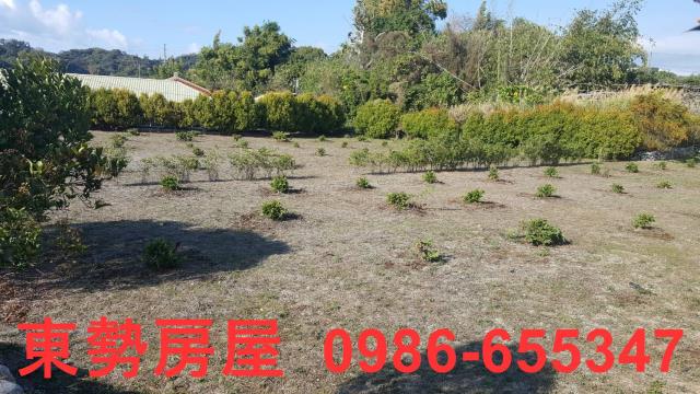東勢農地-4
