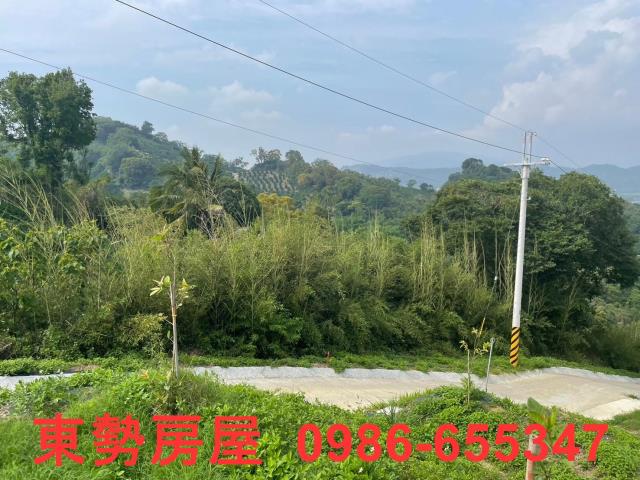 台中東勢農地-11