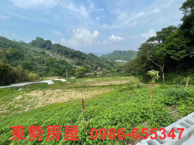 台中東勢農地-0