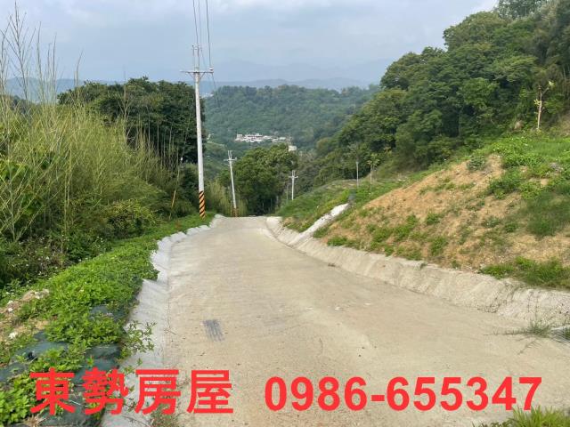 台中東勢農地-3