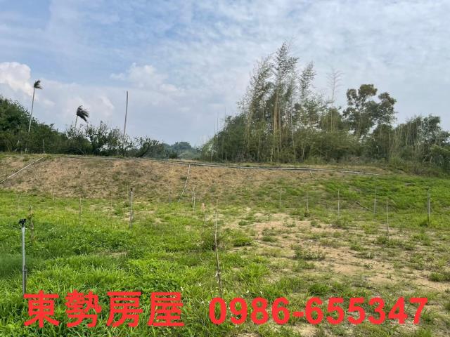台中東勢農地-4