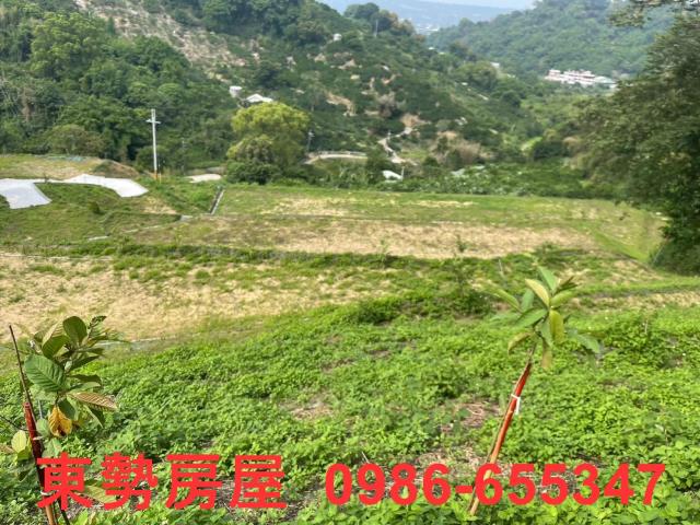 台中東勢農地-6