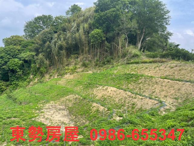 台中東勢農地-8