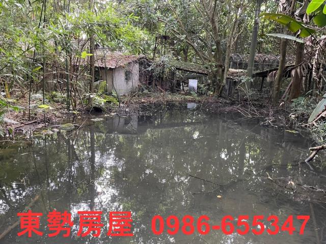 新社農地-5