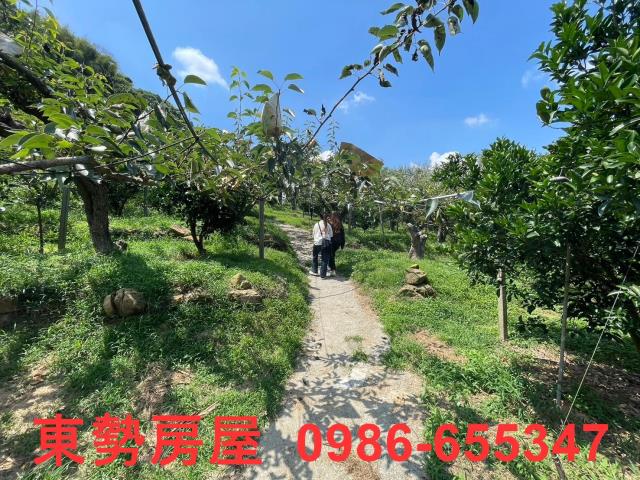 台中東勢農地-9