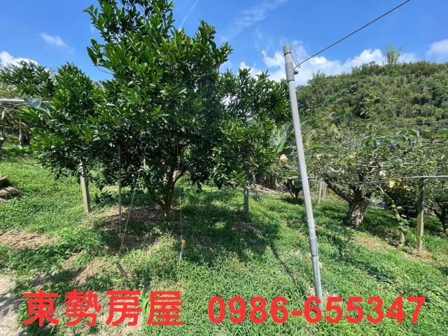台中東勢農地-10