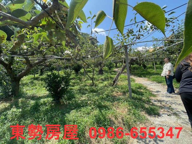 台中東勢農地-11