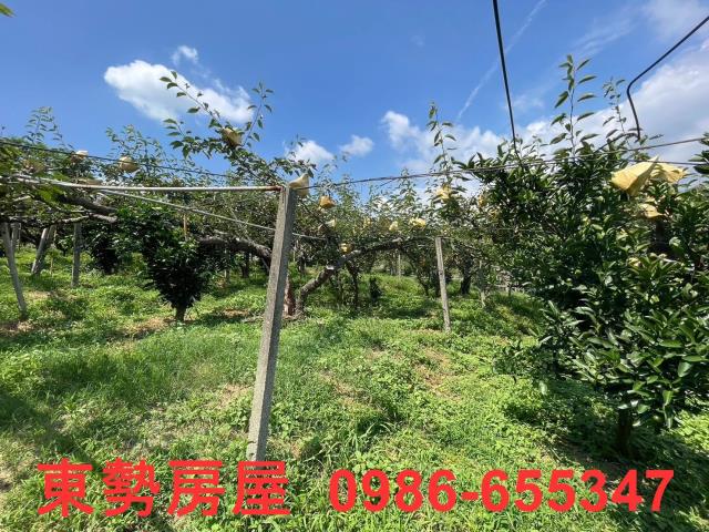 台中東勢農地-12