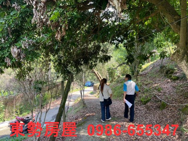 台中東勢農地-14