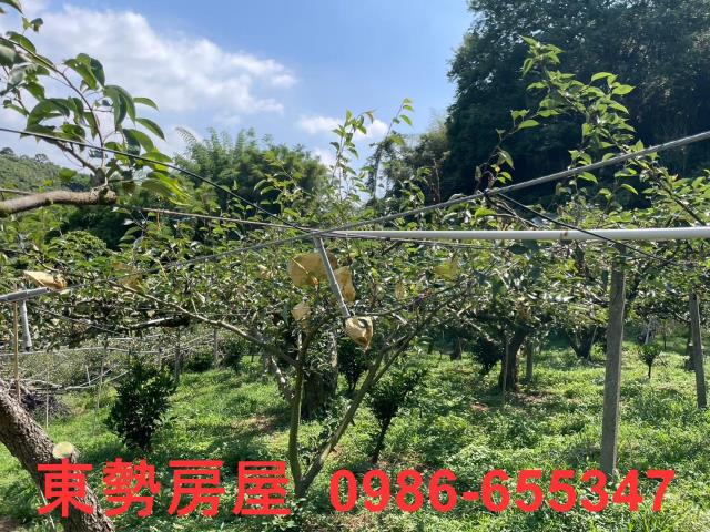 台中東勢農地-1