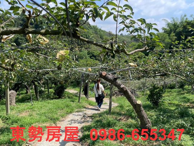 台中東勢農地-2