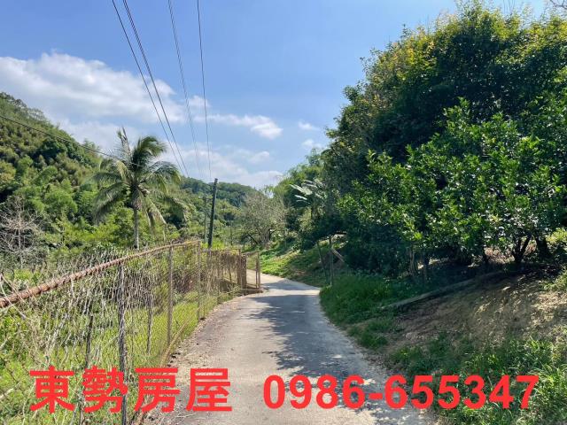 台中東勢農地-4