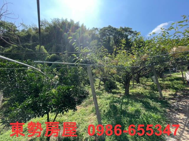 台中東勢農地-5