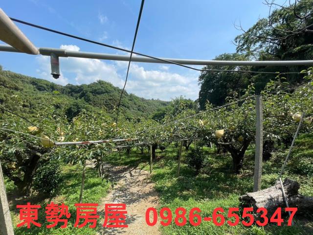 台中東勢農地-6