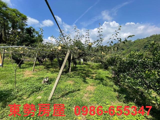 台中東勢農地-7