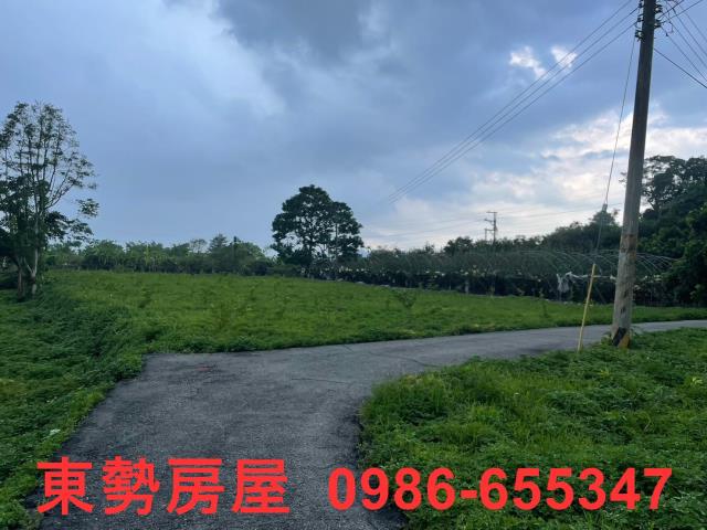 東勢農地-9