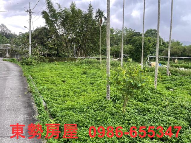 東勢農地-10