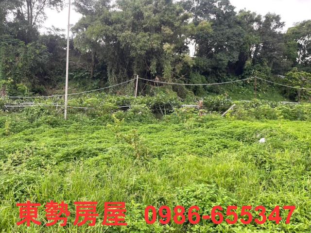 東勢農地-12