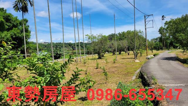 東勢農地-0