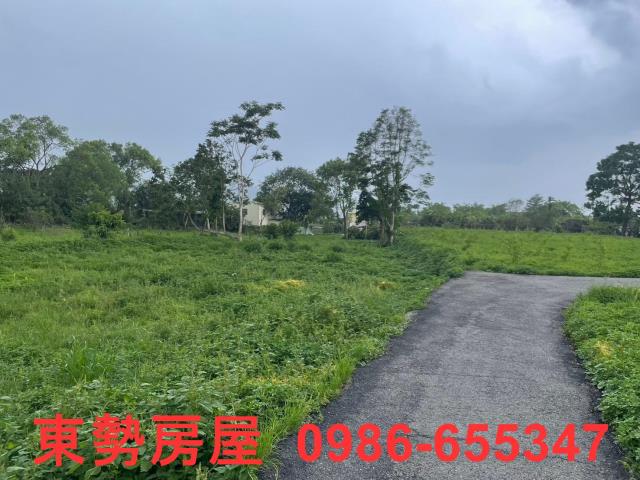 東勢農地-13