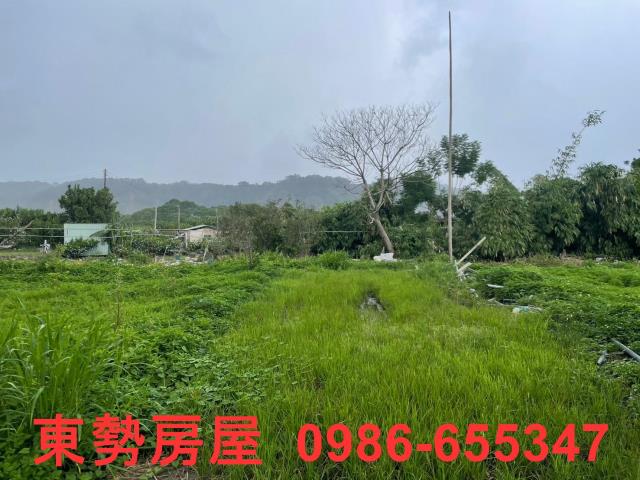 東勢農地-4