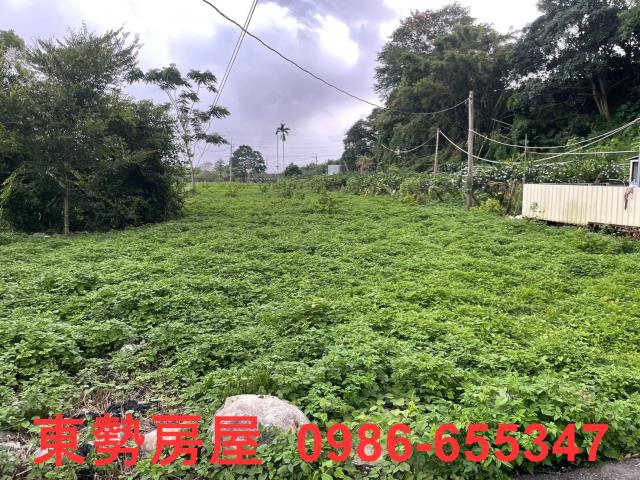 東勢農地-8