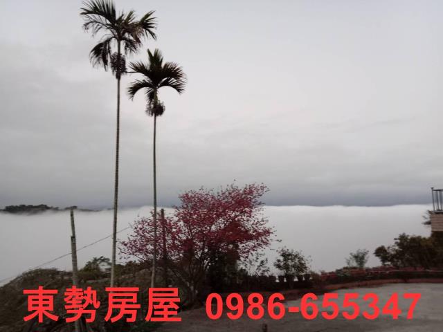東勢農地-1