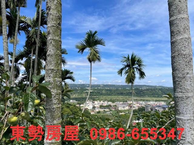 東勢農地-0