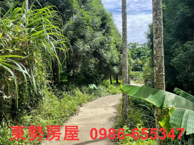 東勢農地-1