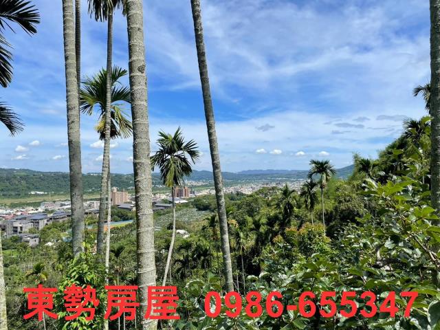 東勢農地-2