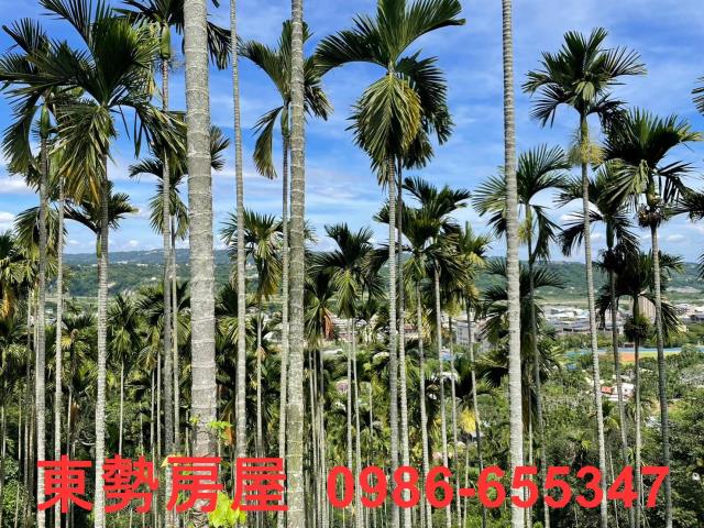 東勢農地-3
