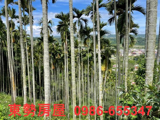 東勢農地-6