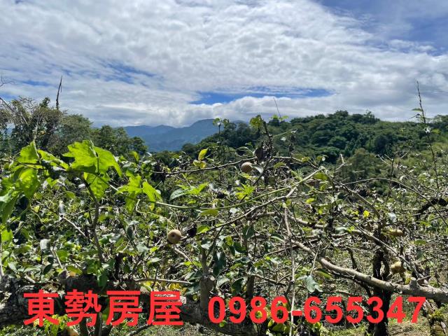東勢農地-7