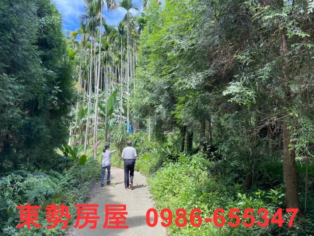 東勢農地-8
