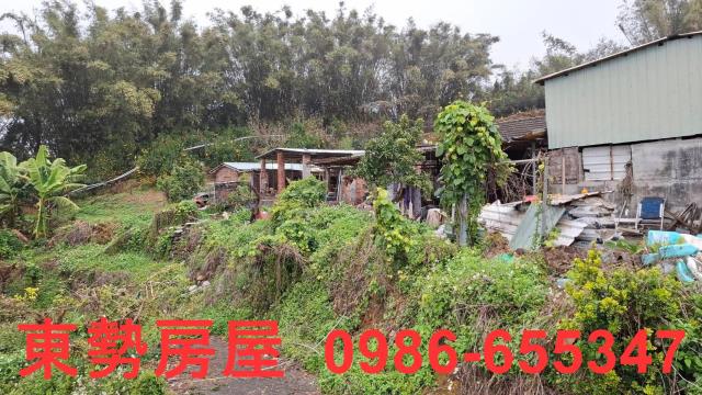 卓蘭農地-9