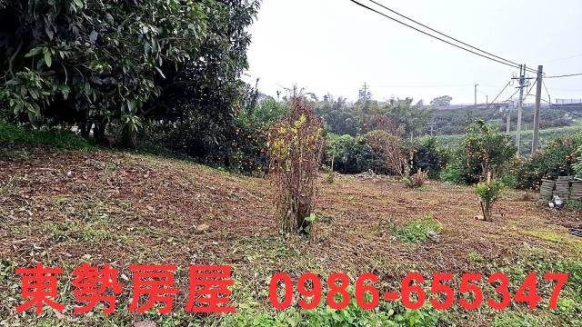 卓蘭農地-1