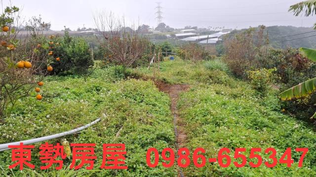 卓蘭農地-3